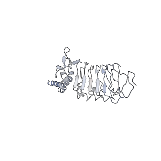 33981_7yo4_F_v1-0
Cryo-EM structure of RCK1-RCK2 mutated human Slo1-LRRC26 complex