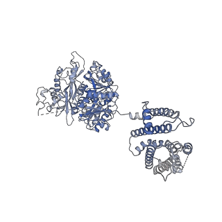 33981_7yo4_G_v1-0
Cryo-EM structure of RCK1-RCK2 mutated human Slo1-LRRC26 complex