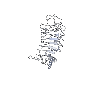 33981_7yo4_H_v1-0
Cryo-EM structure of RCK1-RCK2 mutated human Slo1-LRRC26 complex