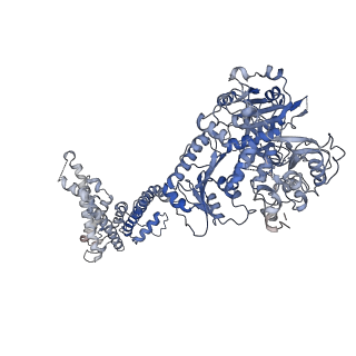33982_7yo5_A_v1-0
Cryo-EM structure of RCK1 mutated human Slo1 apo