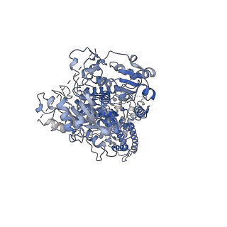 33982_7yo5_D_v1-0
Cryo-EM structure of RCK1 mutated human Slo1 apo