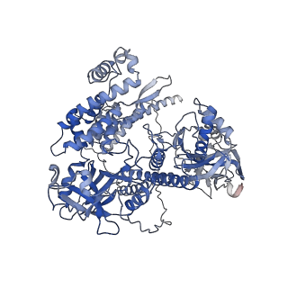 33983_7yoj_A_v1-0
Structure of CasPi with guide RNA and target DNA