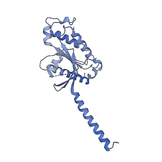 33984_7yon_A_v1-0
Complex structure of Neuropeptide Y Y2 receptor in complex with PYY(3-36) and Gi