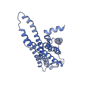 33984_7yon_R_v1-0
Complex structure of Neuropeptide Y Y2 receptor in complex with PYY(3-36) and Gi