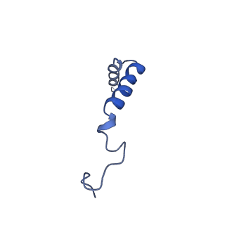 33985_7yoo_G_v1-0
Complex structure of Neuropeptide Y Y2 receptor in complex with NPY and Gi