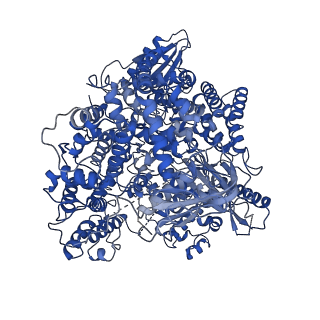 33986_7yot_A_v1-2
Cryo-EM structure of RNA polymerase in complex with P protein tetramer of Newcastle disease virus