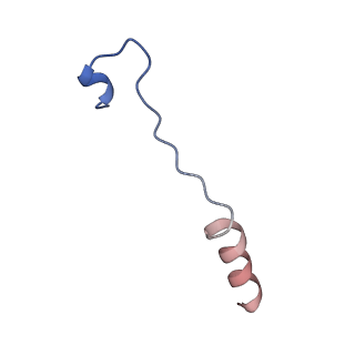 33986_7yot_B_v1-2
Cryo-EM structure of RNA polymerase in complex with P protein tetramer of Newcastle disease virus