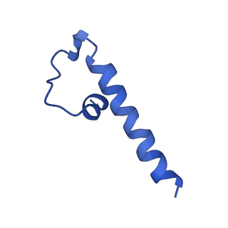 33986_7yot_C_v1-2
Cryo-EM structure of RNA polymerase in complex with P protein tetramer of Newcastle disease virus