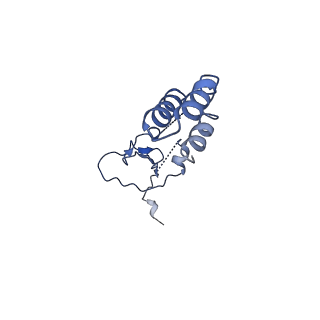 33986_7yot_E_v1-2
Cryo-EM structure of RNA polymerase in complex with P protein tetramer of Newcastle disease virus