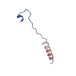 33987_7you_B_v1-1
Cryo-EM structure of RNA polymerase in complex with P protein tetramer of Newcastle disease virus