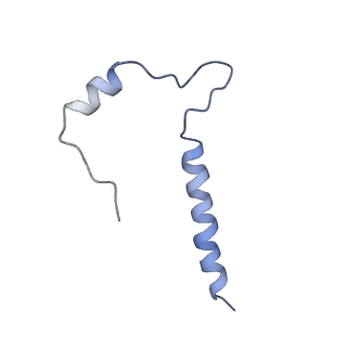 33987_7you_D_v1-1
Cryo-EM structure of RNA polymerase in complex with P protein tetramer of Newcastle disease virus