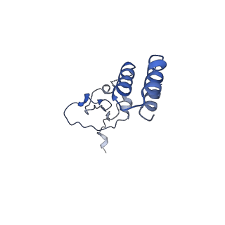 33987_7you_E_v1-1
Cryo-EM structure of RNA polymerase in complex with P protein tetramer of Newcastle disease virus