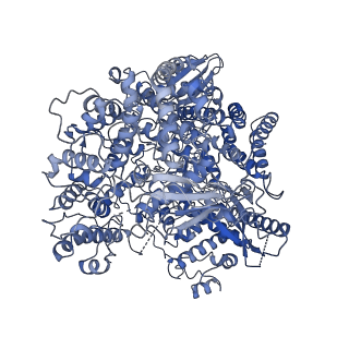 33988_7yov_A_v1-1
Cryo-EM structure of RNA polymerase in complex with P protein tetramer of Newcastle disease virus