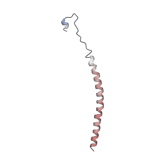 33988_7yov_B_v1-1
Cryo-EM structure of RNA polymerase in complex with P protein tetramer of Newcastle disease virus