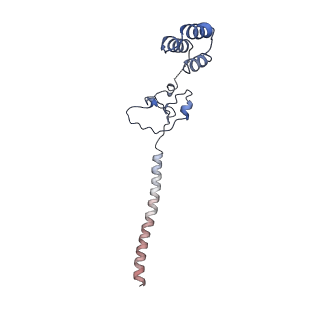 33988_7yov_E_v1-1
Cryo-EM structure of RNA polymerase in complex with P protein tetramer of Newcastle disease virus