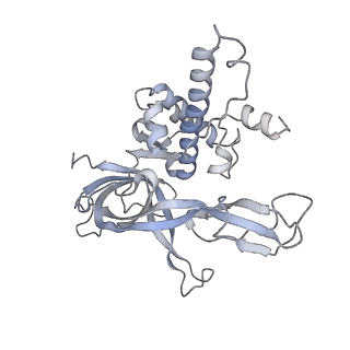 33989_7yox_A_v1-1
Cryo-EM structure of the N-terminal domain of hMCM8/9 and HROB