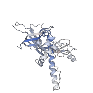 33989_7yox_C_v1-1
Cryo-EM structure of the N-terminal domain of hMCM8/9 and HROB