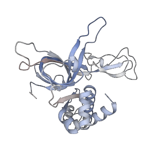 33989_7yox_D_v1-1
Cryo-EM structure of the N-terminal domain of hMCM8/9 and HROB