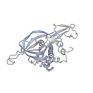 33989_7yox_F_v1-1
Cryo-EM structure of the N-terminal domain of hMCM8/9 and HROB