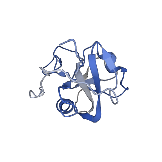 33990_7yoy_C_v1-0
Cryo-EM structure of EBV gHgL-gp42 in complex with mAbs 3E8 and 5E3 (localized refinement)