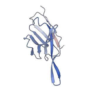 33990_7yoy_E_v1-0
Cryo-EM structure of EBV gHgL-gp42 in complex with mAbs 3E8 and 5E3 (localized refinement)