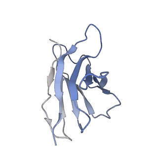 33990_7yoy_F_v1-0
Cryo-EM structure of EBV gHgL-gp42 in complex with mAbs 3E8 and 5E3 (localized refinement)