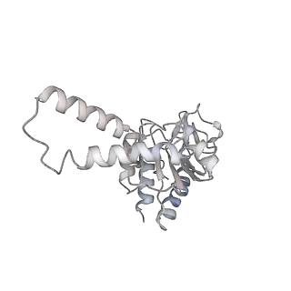 10869_6ypu_c_v1-1
Acinetobacter baumannii ribosome-amikacin complex - 30S subunit body