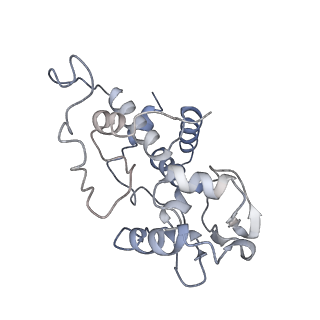 10869_6ypu_e_v1-1
Acinetobacter baumannii ribosome-amikacin complex - 30S subunit body