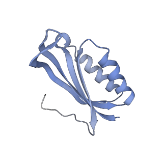 10869_6ypu_g_v1-1
Acinetobacter baumannii ribosome-amikacin complex - 30S subunit body
