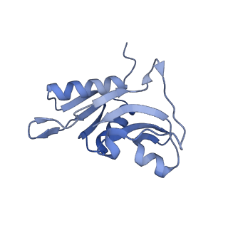 10869_6ypu_i_v1-1
Acinetobacter baumannii ribosome-amikacin complex - 30S subunit body