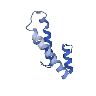 10869_6ypu_p_v1-1
Acinetobacter baumannii ribosome-amikacin complex - 30S subunit body