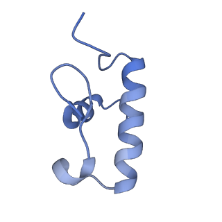 10869_6ypu_s_v1-1
Acinetobacter baumannii ribosome-amikacin complex - 30S subunit body