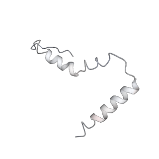 10869_6ypu_v_v1-1
Acinetobacter baumannii ribosome-amikacin complex - 30S subunit body