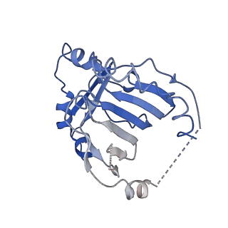 33992_7yp1_A_v1-0
Cryo-EM structure of EBV gHgL-gp42 in complex with mAb 10E4 (localized refinement)