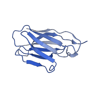 33992_7yp1_D_v1-0
Cryo-EM structure of EBV gHgL-gp42 in complex with mAb 10E4 (localized refinement)