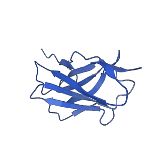 33994_7yp2_H_v1-0
Cryo-EM structure of EBV gHgL-gp42 in complex with mAb 6H2 (localized refinement)