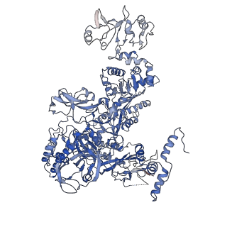 33996_7yp9_C_v1-3
Cryo-EM structure of Escherichia coli paused complex of transcription termination (TTC-pause)