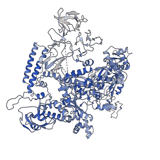 33996_7yp9_D_v1-3
Cryo-EM structure of Escherichia coli paused complex of transcription termination (TTC-pause)