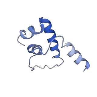 33996_7yp9_E_v1-3
Cryo-EM structure of Escherichia coli paused complex of transcription termination (TTC-pause)