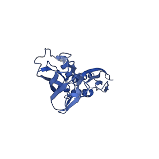 33997_7ypa_B_v1-3
Cryo-EM structure of Escherichia coli hairpin-nucleation complex of transcription termination (TTC-hairpin)
