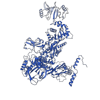 33997_7ypa_C_v1-3
Cryo-EM structure of Escherichia coli hairpin-nucleation complex of transcription termination (TTC-hairpin)