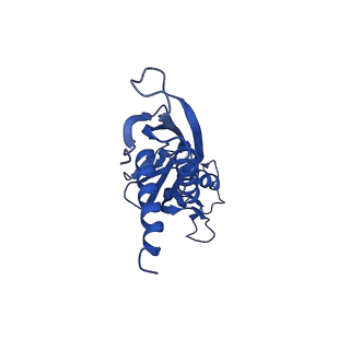 33998_7ypb_A_v1-3
Cryo-EM structure of Escherichia coli release complex of transcription termination (TTC-release)