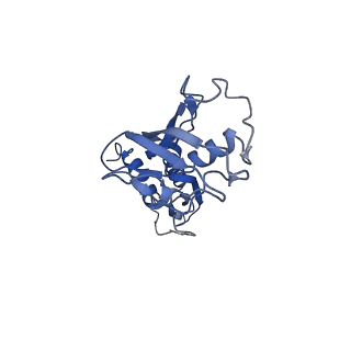 33998_7ypb_B_v1-3
Cryo-EM structure of Escherichia coli release complex of transcription termination (TTC-release)