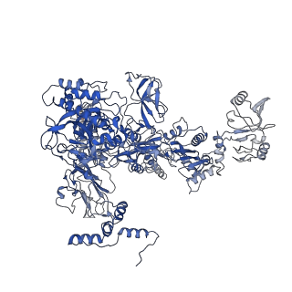 33998_7ypb_C_v1-3
Cryo-EM structure of Escherichia coli release complex of transcription termination (TTC-release)