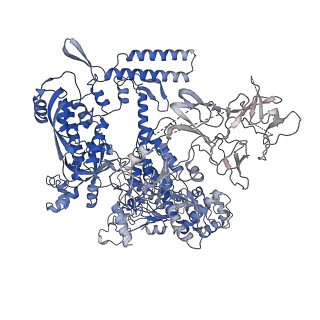 33998_7ypb_D_v1-3
Cryo-EM structure of Escherichia coli release complex of transcription termination (TTC-release)