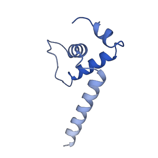 33998_7ypb_E_v1-3
Cryo-EM structure of Escherichia coli release complex of transcription termination (TTC-release)