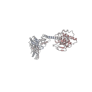 34000_7yph_A_v1-1
Open-spiral pentamer of the substrate-free Lon protease with a Y224S mutation