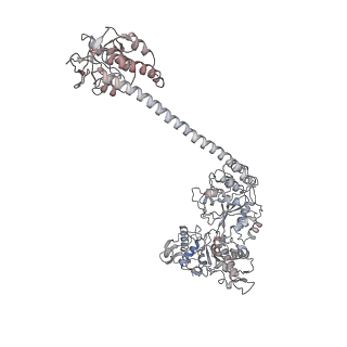 34000_7yph_C_v1-1
Open-spiral pentamer of the substrate-free Lon protease with a Y224S mutation