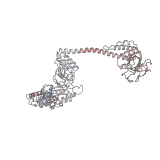 34000_7yph_D_v1-1
Open-spiral pentamer of the substrate-free Lon protease with a Y224S mutation