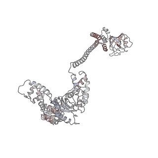 34000_7yph_E_v1-1
Open-spiral pentamer of the substrate-free Lon protease with a Y224S mutation